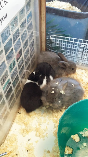 Pet Supply Store «Pets A Plenty», reviews and photos, 3925 NY-281, Cortland, NY 13045, USA