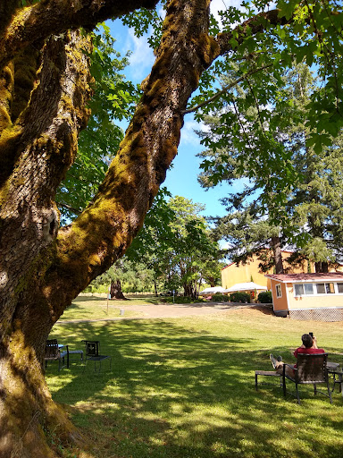 Winery «Apolloni Vineyards», reviews and photos, 14135 NW Timmerman Rd, Forest Grove, OR 97116, USA