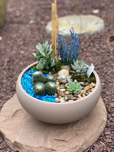 Florist «Ross Plants & Flowers», reviews and photos, 2704 PA-309, Orefield, PA 18069, USA