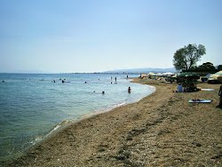 Paralia Ammos'in fotoğrafı imkanlar alanı