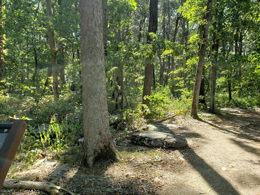 National Park «Stones River National Battlefield», reviews and photos, 3501 Old Nashville Hwy, Murfreesboro, TN 37129, USA