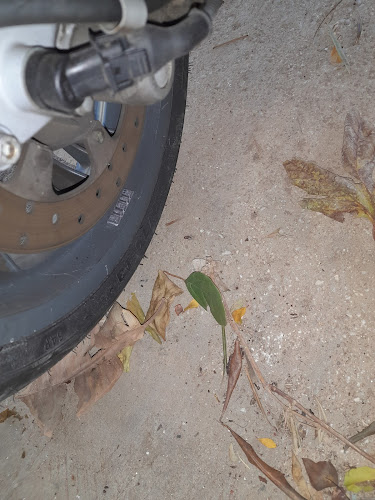 Σχόλια και κριτικές για το MOTOWAY Γ. ΚΑΜΠΡΑΝΗΣ Α.Ε.