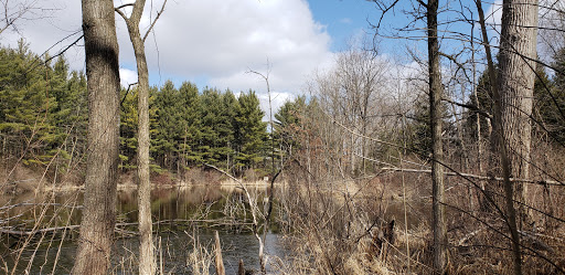 Nature Preserve «Sutherland Nature Sanctuary», reviews and photos, 3998 Diehl Rd, Metamora, MI 48455, USA