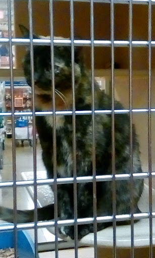 Pet Supply Store «PetSmart», reviews and photos, 479 River Hill Dr, Ashland, KY 41101, USA