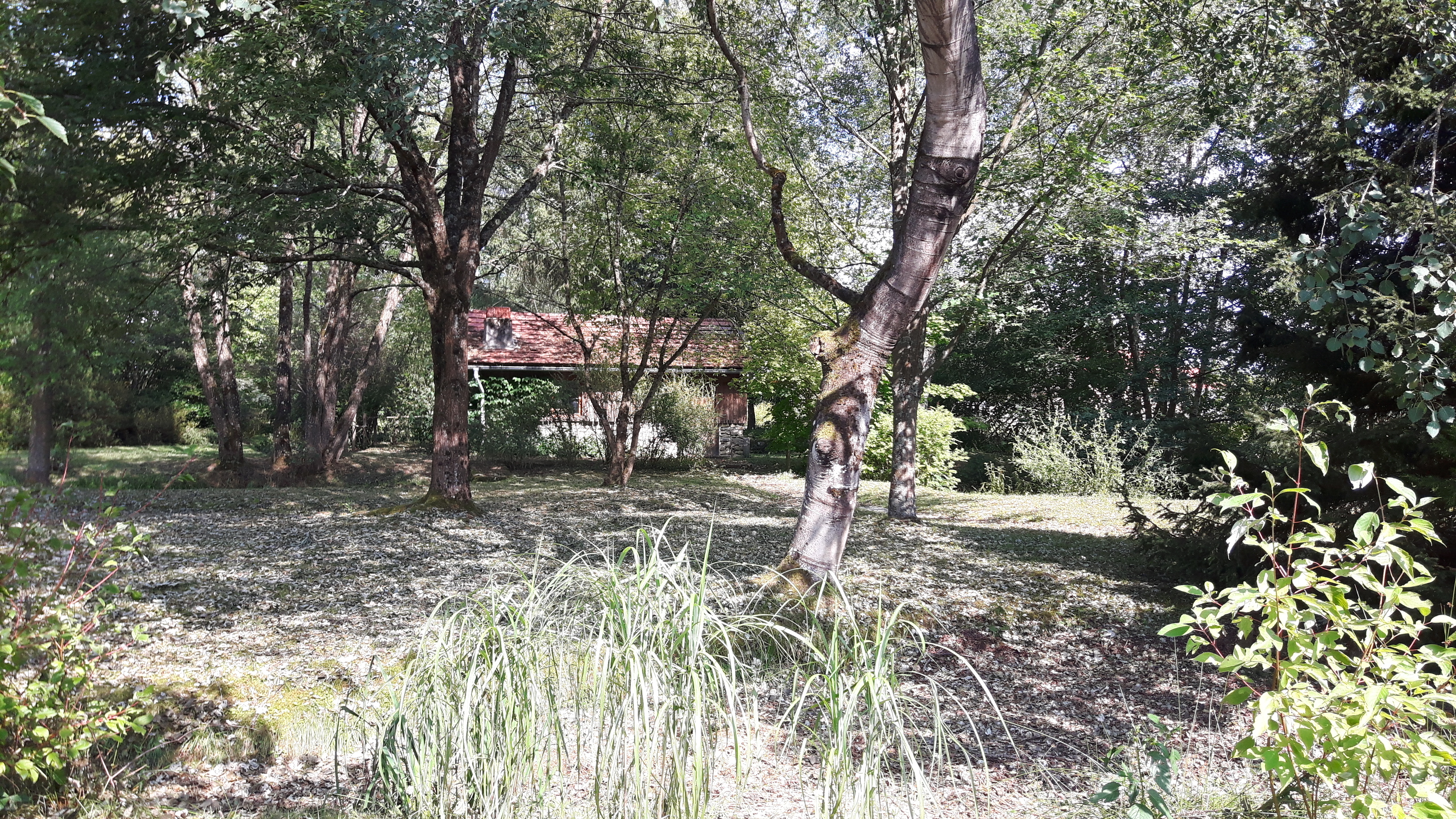 Photo n° 11 de l'avis de Alain.i fait le 24/07/2018 à 13:37
