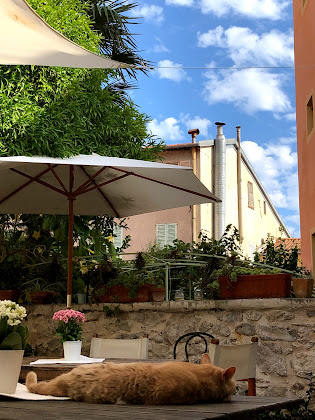 Photos des visiteurs Chambre d'hôtes La Petite Maison 06500 Menton