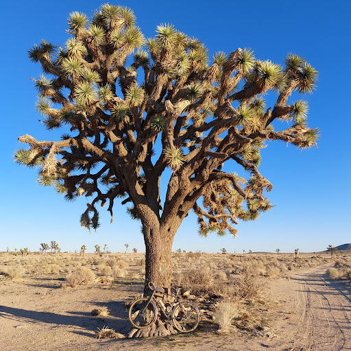 Mortgage Broker «Stonebridge Mortgage Group Inc.», reviews and photos