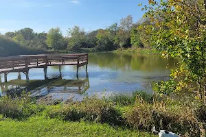 Mill Pond Park image