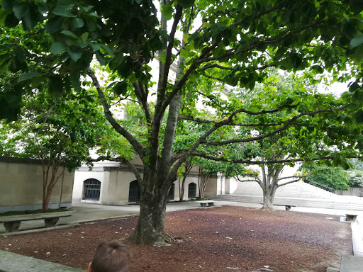 Art Museum «Baltimore Museum of Art», reviews and photos, 10 Art Museum Dr, Baltimore, MD 21218, USA