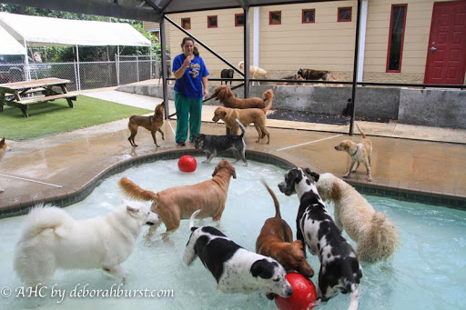 Animal Health Clinic image