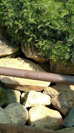 Botanical Garden «Beech Creek Botanical Garden & Nature Preserve», reviews and photos, 11929 Beech St NE, Alliance, OH 44601, USA