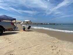 Praia da Cigana'in fotoğrafı vahşi alan