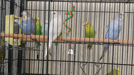 Pet Store «Hillcrest Farms Pet Shop», reviews and photos, 629 S Broadway St, McComb, MS 39648, USA