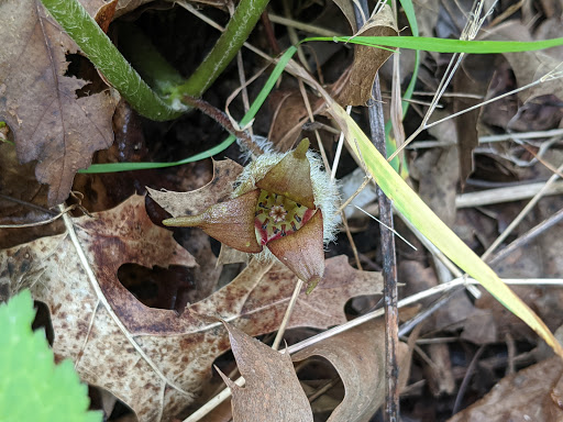 Nature Preserve «Caesar Creek Gorge State Nature Preserve», reviews and photos, 4080 Corwin Rd, Oregonia, OH 45054, USA