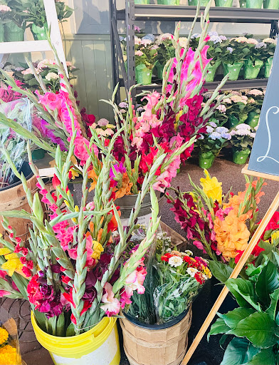 Grocery Store «Delicious Orchards», reviews and photos, 320 NJ-34, Colts Neck, NJ 07722, USA