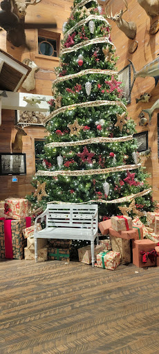 Sporting Goods Store «Bass Pro Shops», reviews and photos, 10501 Palm River Rd, Tampa, FL 33619, USA