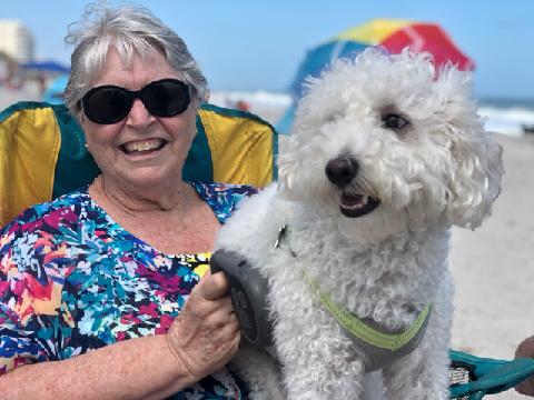 Pet Supply Store «PetSmart», reviews and photos, 1800 Evans Rd, Melbourne, FL 32904, USA