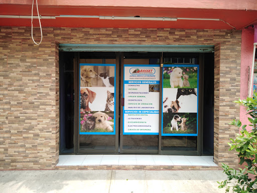 CLINICA VETERINARIA BASSET