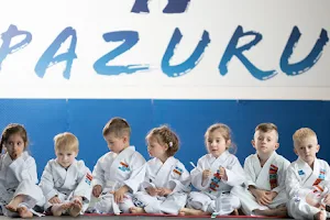 Pazuru martial art and health center image
