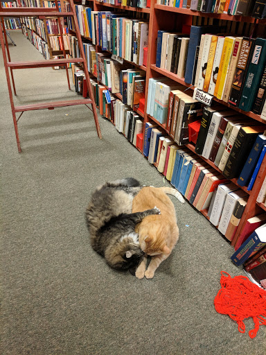 Used Book Store «Downtown Books Bought & Sold», reviews and photos, 624 N Broadway St, Milwaukee, WI 53212, USA