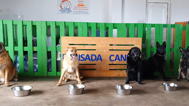 Treinador de cães, hotel para cães, creche para cães, pet taxi