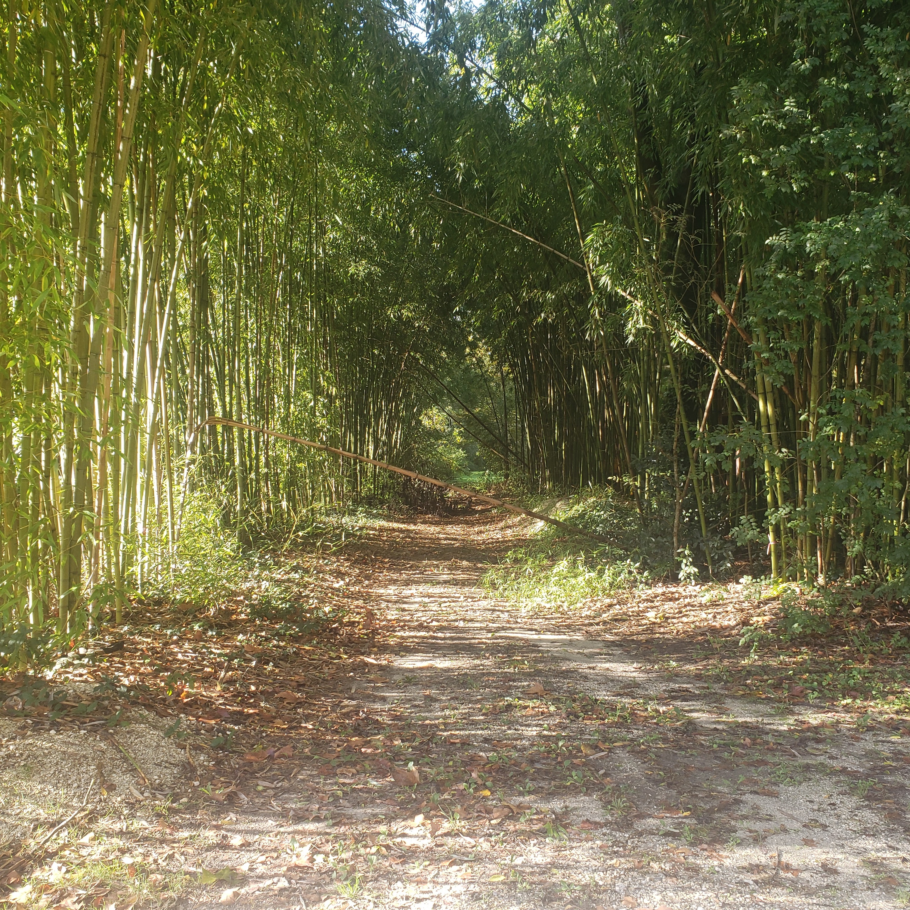 Photo n° 9 de l'avis de serge.t fait le 31/10/2023 à 17:01