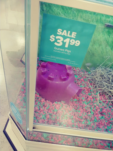 Pet Supply Store «PetSmart», reviews and photos, 4421 Virginia Beach Blvd, Virginia Beach, VA 23462, USA