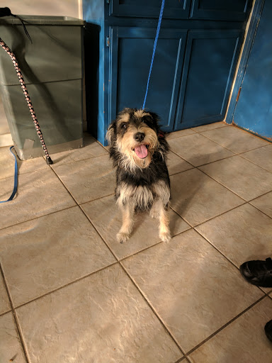 Animal Shelter «South Suburban Humane Society», reviews and photos