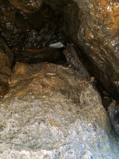 Tourist Attraction «Dover Stone Church», reviews and photos, 3128 NY-22, Dover Plains, NY 12522, USA