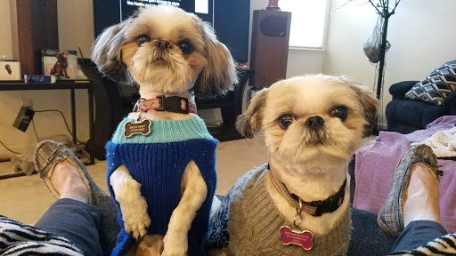 Pet Supply Store «PetSmart», reviews and photos, 255 Los Altos Pkwy, Spanish Springs, NV 89436, USA