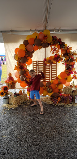 Vineyard «Chautauqua Vineyard & Winery», reviews and photos, 364 Hugh Adams Rd, Defuniak Springs, FL 32435, USA