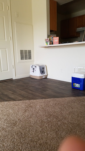 Pet Supply Store «Petco Animal Supplies», reviews and photos, 181 North 545 West, West Bountiful, UT 84087, USA