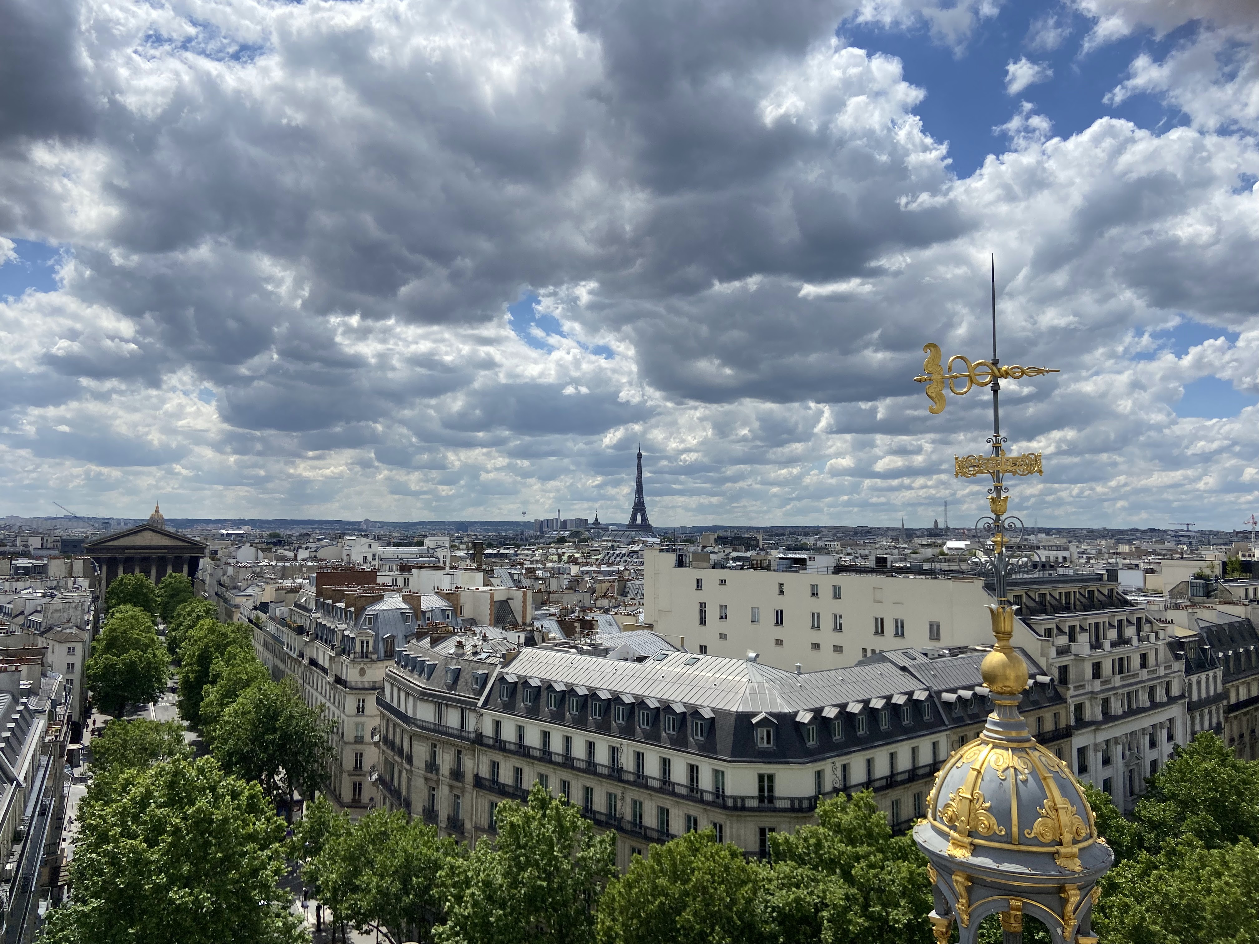 Photo n° 4 de l'avis de Ouioui. fait le 18/08/2022 à 10:00