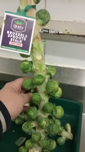 Grocery Store «Stop & Shop», reviews and photos, 334 NJ-31, Flemington, NJ 08822, USA