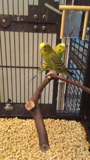 Pet Supply Store «PetSmart», reviews and photos, 4429 Pecanland Mall Dr, Monroe, LA 71203, USA