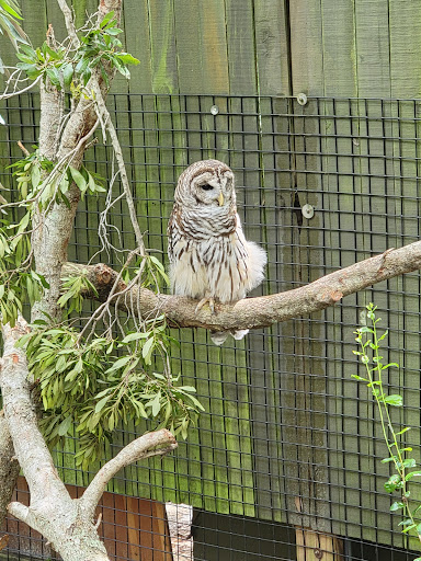 Zoo «Brevard Zoo», reviews and photos, 8225 N Wickham Rd, Melbourne, FL 32940, USA