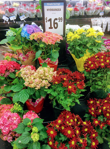 Fabric Store «Jo-Ann Fabrics and Crafts», reviews and photos, 2210 Daniels St, Manteca, CA 95337, USA