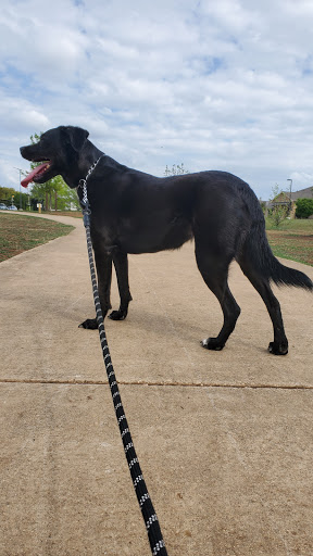 Park «Nani Falcone Community Park», reviews and photos, 7625 Mystic Park, San Antonio, TX 78254, USA