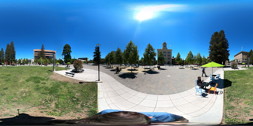 CuneXus image
