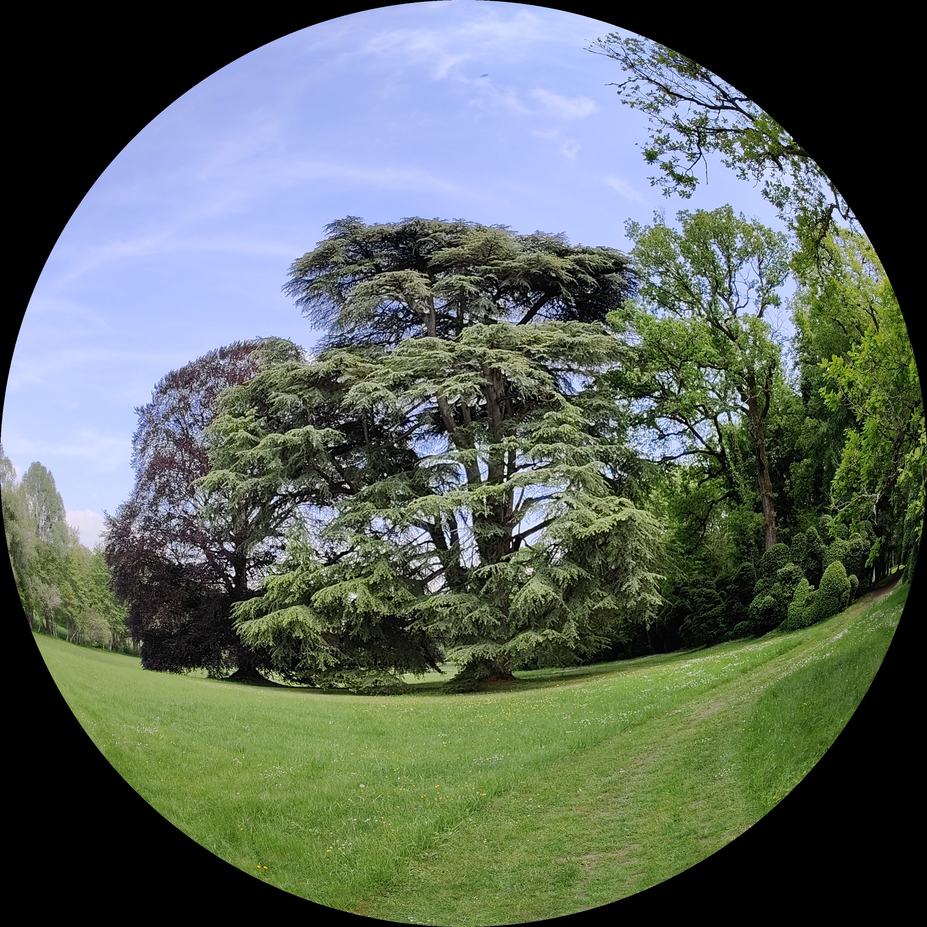 Photo n° 3 de l'avis de Luc.h fait le 14/05/2023 à 16:21