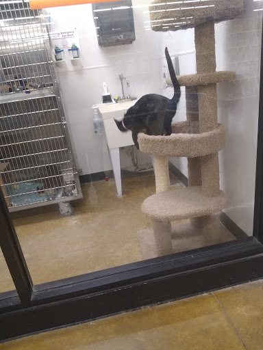 Pet Supply Store «PetSmart», reviews and photos, 5812 Youngstown Warren Rd, Niles, OH 44446, USA