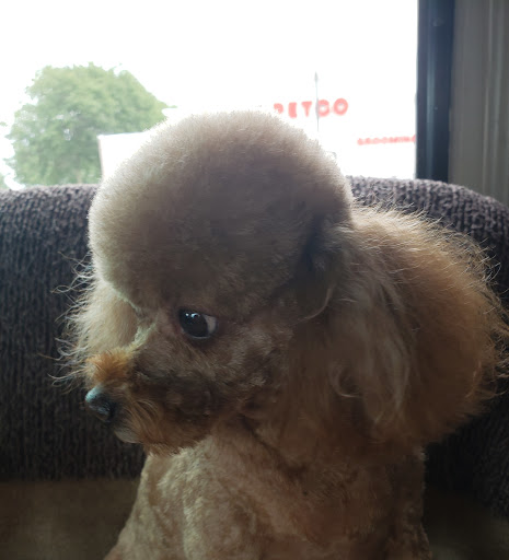 Pet Supply Store «Petco Animal Supplies», reviews and photos, 1111 S Main St #100, Bowling Green, OH 43402, USA