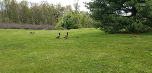 Golf Club «Cedar Creek Golf Course», reviews and photos, 14000 Renton Rd, Battle Creek, MI 49015, USA