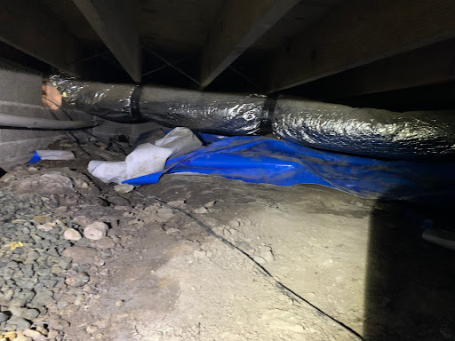 Plumber «Roto-Rooter Plumbing & Drain Services», reviews and photos, 416 North Ave, Newport News, VA 23601, USA