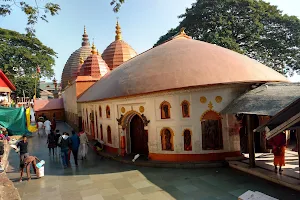 Aadishakti Mata Kamakhya Devi (Museum) image