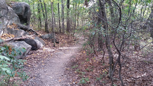 Nature Preserve «The New Weis Center for Education, Arts & Recreation», reviews and photos, 150 Snake Den Rd, Ringwood, NJ 07456, USA