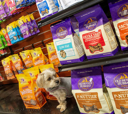 Pet Supply Store «Croton Pet Station», reviews and photos, 420 S Riverside Ave, Croton-On-Hudson, NY 10520, USA