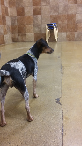 Pet Supply Store «PetSmart», reviews and photos, 10 Hazard Ave, Enfield, CT 06082, USA