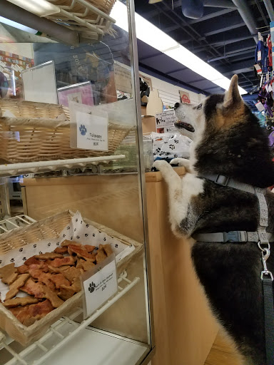Pet Supply Store «Dogma Bakery», reviews and photos, 2772 S Arlington Mill Dr, Arlington, VA 22206, USA