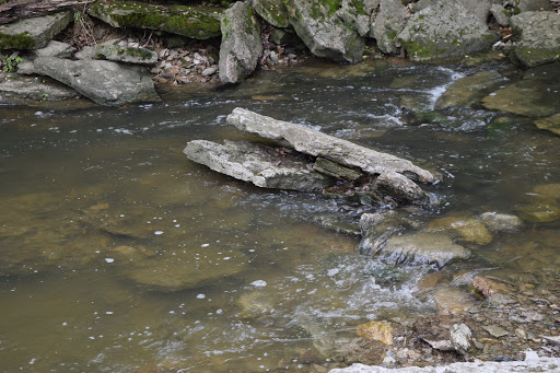 Park «Pioneer Park», reviews and photos, 10505 Deerfield Rd, Montgomery, OH 45242, USA